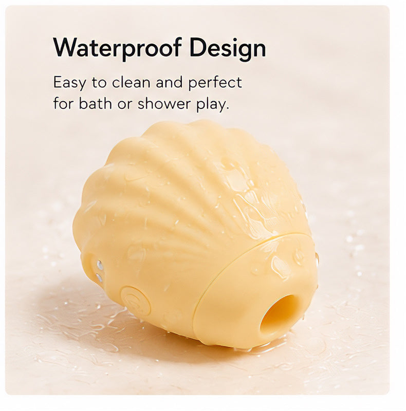 SeaShell Bliss
